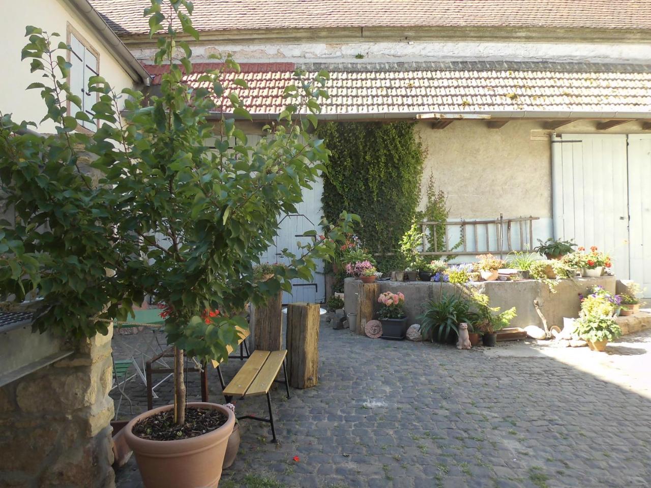 Gaestezimmer Mittelgasse Florsheim-Dalsheim Exterior photo
